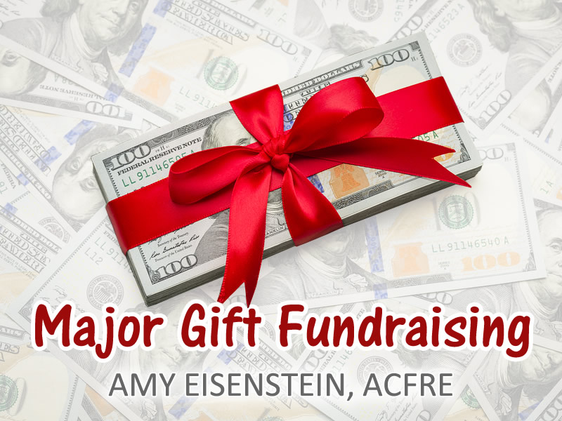 https://www.amyeisenstein.com/wpsys/wp-content/uploads/2015/04/major-gift-fundraising-amy-eisenstein.jpg